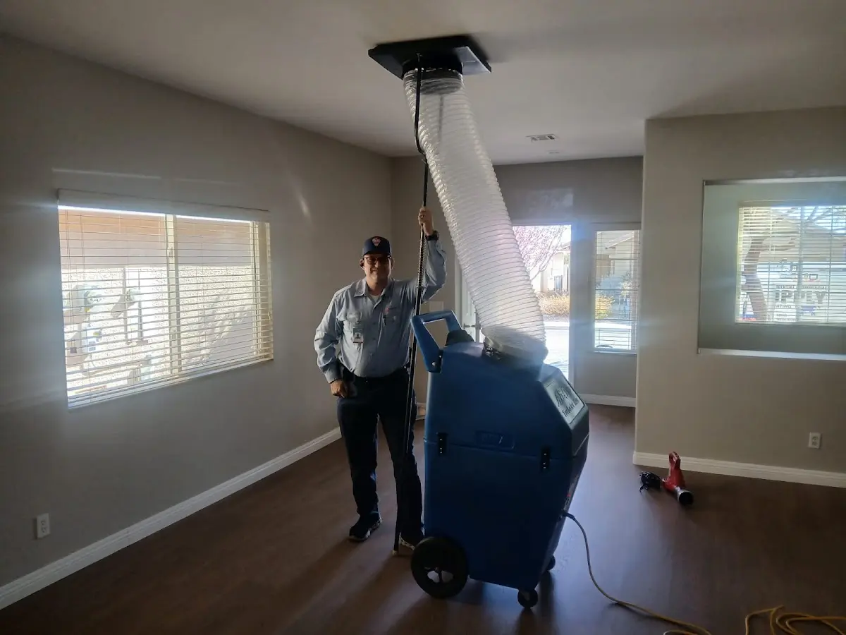 Professional Dryer Vent Cleaning work inside a Vestal home